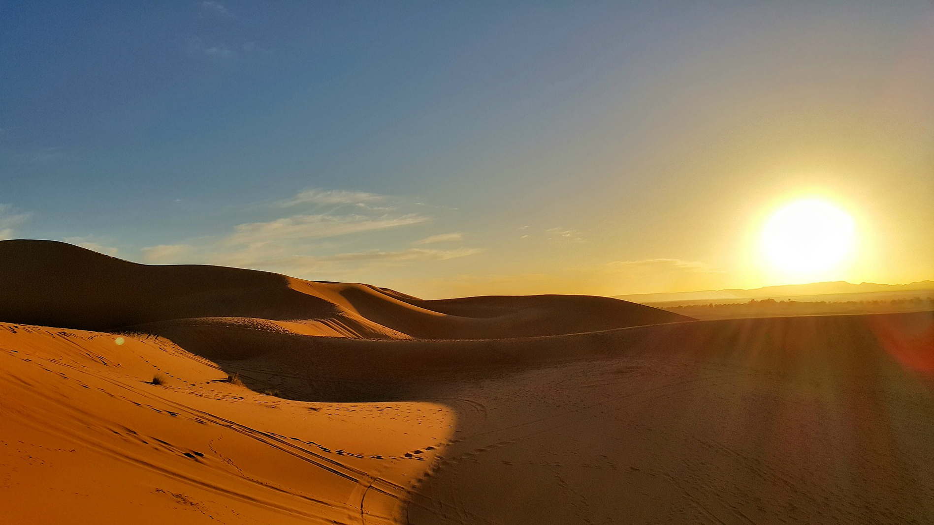 Sahara Mogla Stac Sie Pustynia Przez Dzialalnosc Czlowieka